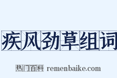 疾风劲草组词是什么意思的图片